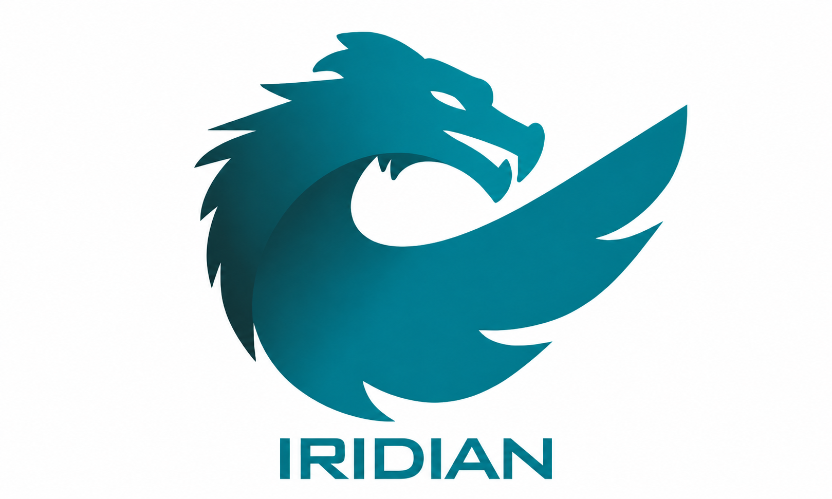 Logo Iridian Consulting SAS